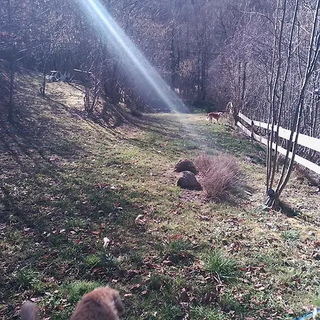 Le Domaine Enchanté *